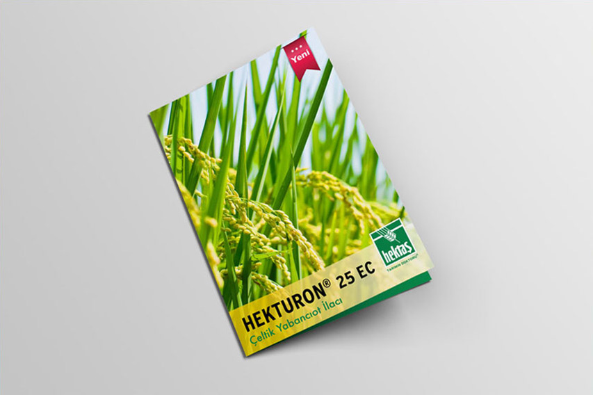 hektaş broşür tasarımı