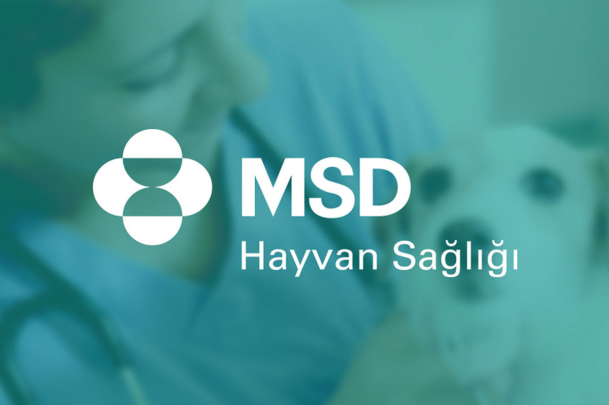 msd stand tasarımı