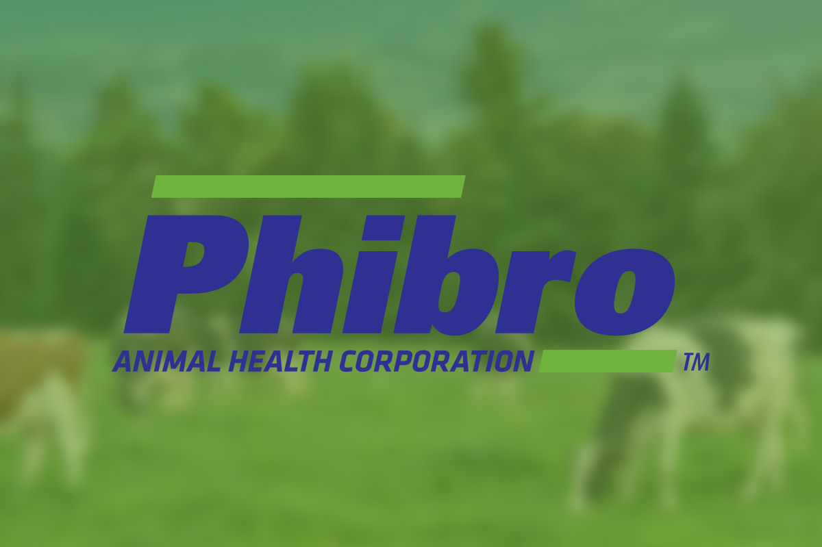 Phibro web tasarımı