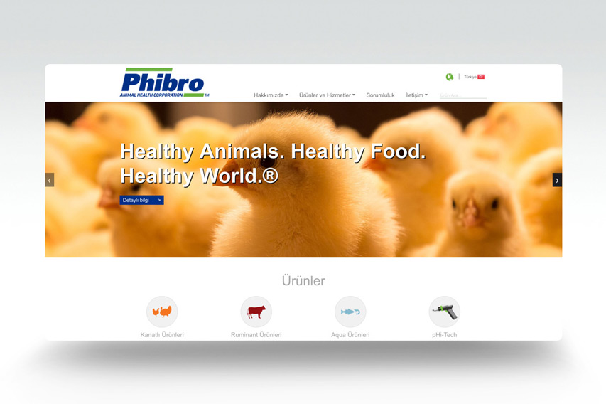 Phibro Web Tasarımı