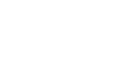 Dash